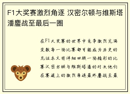 F1大奖赛激烈角逐 汉密尔顿与维斯塔潘鏖战至最后一圈